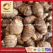 Best Selling Fresh Taro From China